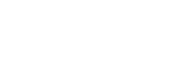 DONGFENG logo